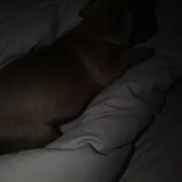 processed/553f4f5a-8b68-4242-a448-8bdc2dd2f833/facility/47c8b9a1-82c8-45ba-ac3b-49f89c02310d