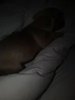 processed/553f4f5a-8b68-4242-a448-8bdc2dd2f833/facility/47c8b9a1-82c8-45ba-ac3b-49f89c02310d