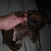 processed/553f4f5a-8b68-4242-a448-8bdc2dd2f833/facility/595f67fc-a8f2-4a8e-aca4-a99765faa8e2