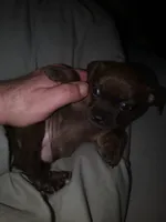 processed/553f4f5a-8b68-4242-a448-8bdc2dd2f833/facility/595f67fc-a8f2-4a8e-aca4-a99765faa8e2