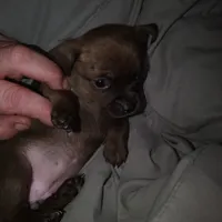 processed/553f4f5a-8b68-4242-a448-8bdc2dd2f833/facility/dd5a4daa-66ea-47f8-aa8a-48c171a298da