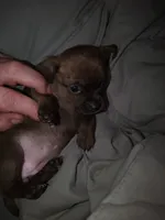 processed/553f4f5a-8b68-4242-a448-8bdc2dd2f833/facility/dd5a4daa-66ea-47f8-aa8a-48c171a298da