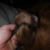 processed/553f4f5a-8b68-4242-a448-8bdc2dd2f833/facility/f201f518-901a-46e8-8fcb-5f91f2c2eaa1