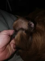 processed/553f4f5a-8b68-4242-a448-8bdc2dd2f833/facility/f201f518-901a-46e8-8fcb-5f91f2c2eaa1