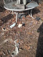 Sugar, a female Chiweenie for sale in Romulus, MI – Photo 2 of 5