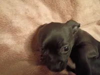 processed/553f4f5a-8b68-4242-a448-8bdc2dd2f833/listing/48642473-248f-4065-a475-da5752dbf6a8/4c2c5680-c568-454d-bbb8-8c5ef021d67b