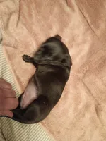 processed/553f4f5a-8b68-4242-a448-8bdc2dd2f833/listing/48642473-248f-4065-a475-da5752dbf6a8/cd91ec36-a8a9-4609-b95f-acf44ee8112c