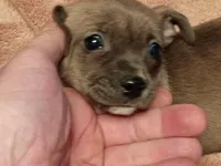 processed/553f4f5a-8b68-4242-a448-8bdc2dd2f833/listing/7e9b7e17-6c81-4c7c-af01-4970ade20b98/3f278b81-46f7-4253-95e3-a1dfd14e1eea