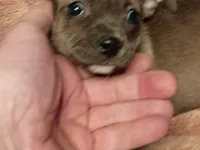 processed/553f4f5a-8b68-4242-a448-8bdc2dd2f833/listing/7e9b7e17-6c81-4c7c-af01-4970ade20b98/478091f8-756e-48cc-bef0-740e27e9a70b