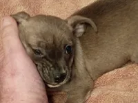 processed/553f4f5a-8b68-4242-a448-8bdc2dd2f833/listing/7e9b7e17-6c81-4c7c-af01-4970ade20b98/820848e9-c9c4-439f-8a0e-22c8f81198af