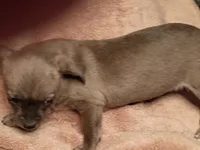 processed/553f4f5a-8b68-4242-a448-8bdc2dd2f833/listing/7e9b7e17-6c81-4c7c-af01-4970ade20b98/9b1dea51-c114-4601-8075-cc5db96a50ae