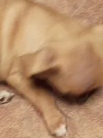 processed/553f4f5a-8b68-4242-a448-8bdc2dd2f833/listing/e4a9f454-aaa8-48da-ab74-f1ecefda2ad6/2223f4af-957a-4a36-bd25-5418406960a0