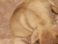 processed/553f4f5a-8b68-4242-a448-8bdc2dd2f833/listing/e4a9f454-aaa8-48da-ab74-f1ecefda2ad6/30965160-ea06-44d8-bf3d-3cdf6166700b