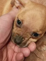 processed/553f4f5a-8b68-4242-a448-8bdc2dd2f833/listing/e4a9f454-aaa8-48da-ab74-f1ecefda2ad6/332cd5aa-b45a-43e3-b281-4c2b6873d29b