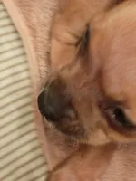 processed/553f4f5a-8b68-4242-a448-8bdc2dd2f833/listing/e4a9f454-aaa8-48da-ab74-f1ecefda2ad6/76cf6a35-9b26-4333-b1bc-9939339e5a0c