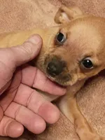 processed/553f4f5a-8b68-4242-a448-8bdc2dd2f833/listing/e4a9f454-aaa8-48da-ab74-f1ecefda2ad6/fe00d0c3-19d8-48ce-86e1-15a908143041