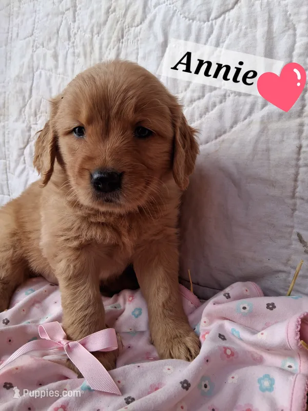 Annie
