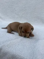 processed/554d30aa-18a9-4f32-a1f0-45bf8be4b4e9/listing/35cc6984-cc47-42be-b870-e245c45554f3/183e0bbb-e05d-40ed-838c-69ddf1a98a62