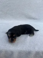 processed/554d30aa-18a9-4f32-a1f0-45bf8be4b4e9/listing/a03fb2fb-086d-457d-8847-4c7a4eb5ae7b/5fe70296-7817-4305-85a8-885121813a29