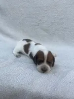 processed/554d30aa-18a9-4f32-a1f0-45bf8be4b4e9/listing/d3467e49-686f-4249-a763-e70e0d19d1a4/6507ef5d-06f7-4fe5-8f65-d802bef1768b