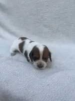 processed/554d30aa-18a9-4f32-a1f0-45bf8be4b4e9/listing/d3467e49-686f-4249-a763-e70e0d19d1a4/a367610b-c2f4-46a5-b9f3-2b7760084b54