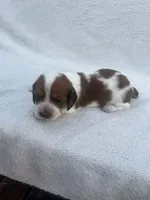 processed/554d30aa-18a9-4f32-a1f0-45bf8be4b4e9/listing/d3467e49-686f-4249-a763-e70e0d19d1a4/c521fec1-a12f-44ba-8a4a-a83f335b5248