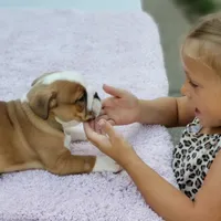 processed/55553f97-1aff-4dff-adbb-452b1446f887/facility/39aade6f-a3f8-4892-bae5-251d6a9d859b