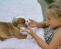 processed/55553f97-1aff-4dff-adbb-452b1446f887/facility/39aade6f-a3f8-4892-bae5-251d6a9d859b