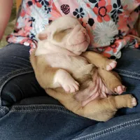 processed/55553f97-1aff-4dff-adbb-452b1446f887/facility/99c77dea-2896-463b-9343-d0adf43d49a0