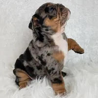 processed/55553f97-1aff-4dff-adbb-452b1446f887/facility/ad25465b-684a-4410-bab9-8e27d1574608