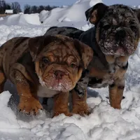 processed/55553f97-1aff-4dff-adbb-452b1446f887/facility/da5442d4-d06a-403e-a028-6ab226c63efd