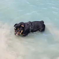 processed/55553f97-1aff-4dff-adbb-452b1446f887/facility/e2d5ec49-5132-4655-88b1-90e993859cf7