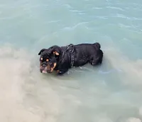 processed/55553f97-1aff-4dff-adbb-452b1446f887/facility/e2d5ec49-5132-4655-88b1-90e993859cf7