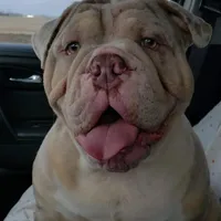 processed/55553f97-1aff-4dff-adbb-452b1446f887/facility/f849b5c8-ae0f-49af-af87-27786df99c72