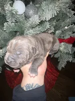 processed/555c7739-122b-4f96-97d6-cdefbece8b21/listing/3bb310a4-77d9-44e3-92ad-18d0c00fe29d/66825e96-abd3-460d-bb2d-5b4b82c373fb