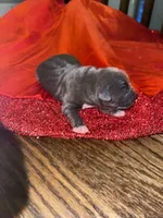 processed/555c7739-122b-4f96-97d6-cdefbece8b21/listing/3bb310a4-77d9-44e3-92ad-18d0c00fe29d/e79fdf4b-f9fb-4481-9304-5b42db096776