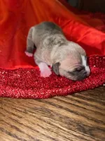 processed/555c7739-122b-4f96-97d6-cdefbece8b21/listing/7351d69d-8a9a-40d2-a3e7-6bb9bd41f56d/8a9bcb6f-64bb-481b-8958-a870ecbdf34e