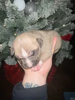 processed/555c7739-122b-4f96-97d6-cdefbece8b21/listing/7351d69d-8a9a-40d2-a3e7-6bb9bd41f56d/ac8e7742-36de-48c3-bf0d-9c4bb7552039