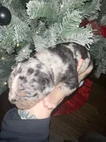 processed/555c7739-122b-4f96-97d6-cdefbece8b21/listing/7a423ea4-6361-4a7e-b932-77afaa436d18/1766ac9d-c3ba-4bec-93e0-95e13af9e14a