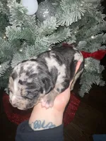 processed/555c7739-122b-4f96-97d6-cdefbece8b21/listing/9c13b2ab-8d08-4c95-9b18-74967eab2f3c/2cab364e-84b0-4392-86c3-55e334c45f89