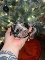 processed/555c7739-122b-4f96-97d6-cdefbece8b21/listing/9c13b2ab-8d08-4c95-9b18-74967eab2f3c/3ee433a3-b6f4-4c69-9520-10af5b401b35