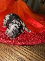 processed/555c7739-122b-4f96-97d6-cdefbece8b21/listing/9c13b2ab-8d08-4c95-9b18-74967eab2f3c/b5849f99-8c2b-4023-bff8-43f17297c692