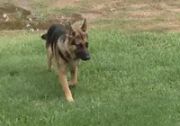 processed/55638c30-07af-4c2b-9b4f-04474fd20c01/facility/02e1c751-d38b-4aa0-9005-c924c881d2fb