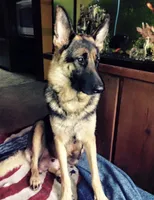 processed/55638c30-07af-4c2b-9b4f-04474fd20c01/facility/0c09e304-848b-476c-b0c4-060a44cb057c