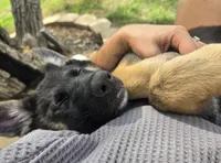 processed/55638c30-07af-4c2b-9b4f-04474fd20c01/facility/1ddb78d7-62b1-46d4-a719-a10e84a16eb8