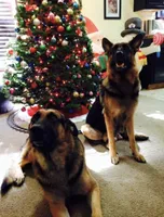 processed/55638c30-07af-4c2b-9b4f-04474fd20c01/facility/26ca4af0-3680-4ceb-8e40-7fbfb998c1d9