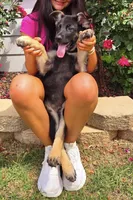 processed/55638c30-07af-4c2b-9b4f-04474fd20c01/facility/c525bfff-14bb-42ef-9287-db9764ee72c7