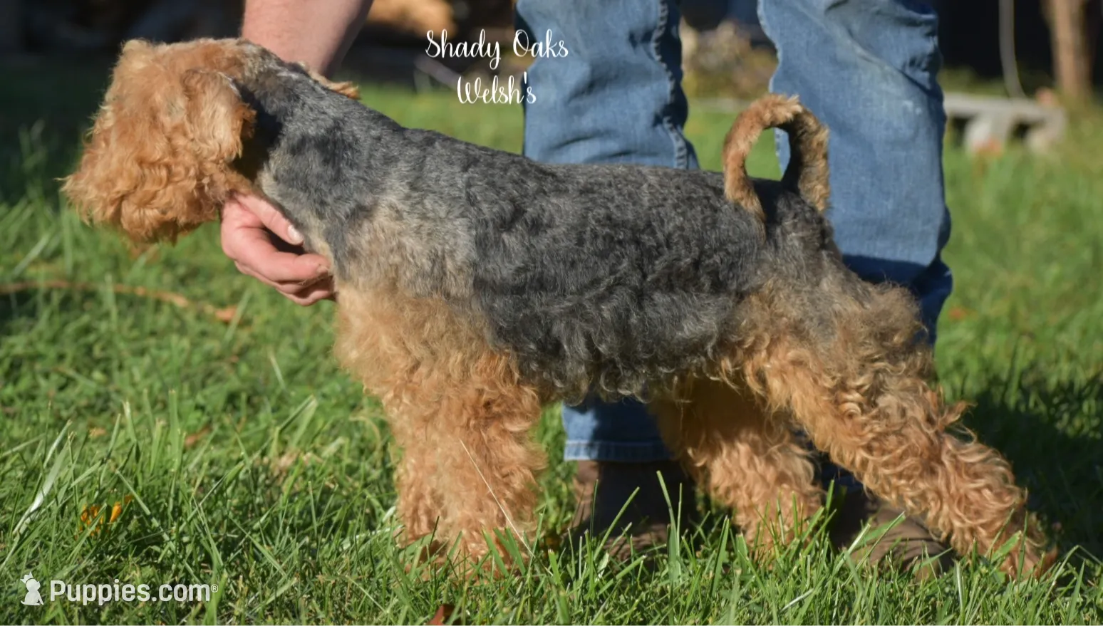 processed/5563db8b-5e84-4d89-a52d-a5e74384eda3/listing/058667d6-18df-42a3-9a02-fc26ae1e661e/111f852c-c31f-4336-add8-526ffbae1216