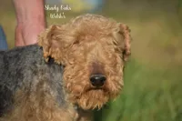 processed/5563db8b-5e84-4d89-a52d-a5e74384eda3/listing/058667d6-18df-42a3-9a02-fc26ae1e661e/2635a599-3741-45be-9316-6b5a95724ae2