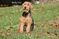 processed/5563db8b-5e84-4d89-a52d-a5e74384eda3/listing/058667d6-18df-42a3-9a02-fc26ae1e661e/3fbb1fd2-d234-421e-92a4-c7f7b2260eba